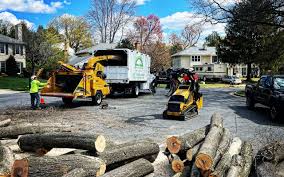 Mulching Services in Notre Dame, IN